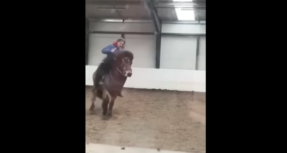 Hesten på videoen blir gjentatte ganger slått i hodet med pisken. Nå tar Mattilsynet på Island grep.
 Foto: Skjermdump Facebook