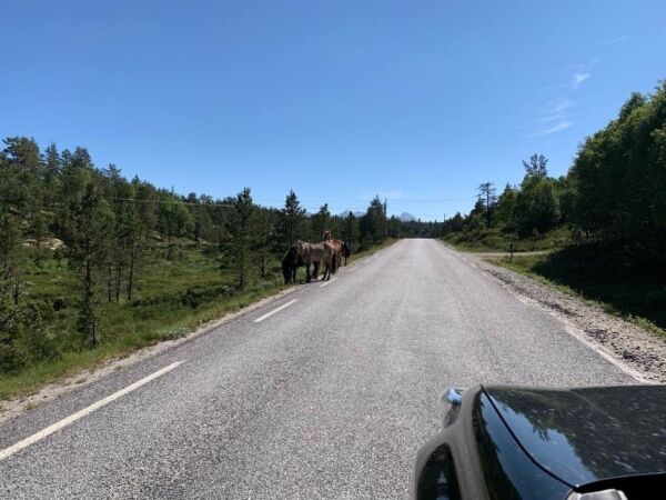 Forsvunnet i en måned