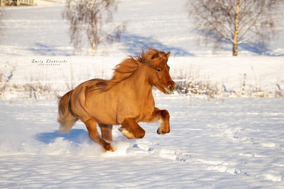 Foto: privat