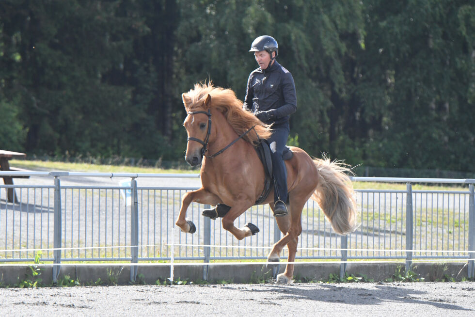 Etter visningene i 2023 skal det plukkes ut hester som skal representere Norge i avl under VM 2023.