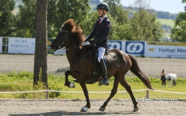 - Harmoni er viktig