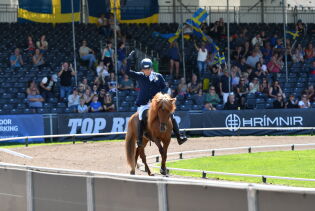 Fra Sverige til Tyskland