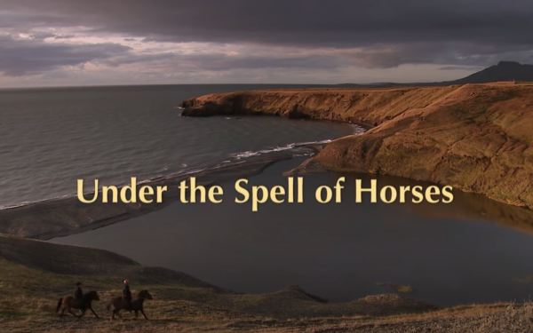 Under the Spell of Horses -Iceland