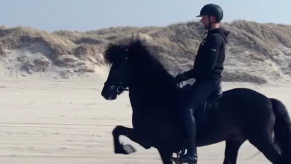 Nils-Christian Larsens Fenrir frá Feti er født på gården som nå skal selges med alt av hester inkludert.
 Foto: Skjermdump video.