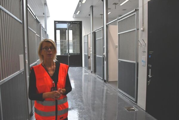 Hesteklinikken får 49 bokser.