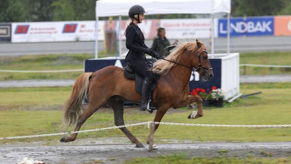 Klart for nytt Nordisk Mesterskap