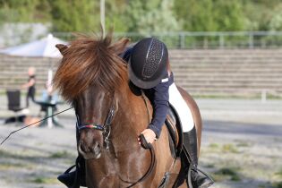 Gir tilbake til de unge