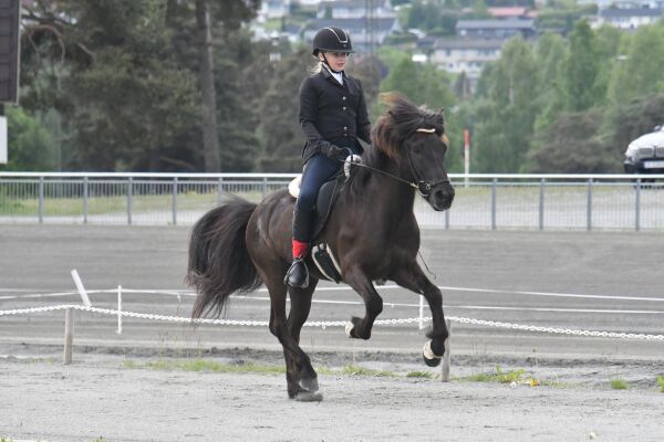 Slik gikk det med barna