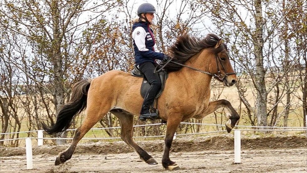 Elisa Lund Iskov og hennes nye Stjerne, Þormar.
 Foto: Skjermdump Instagram.