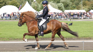 Stang ut i de siste B-finalene