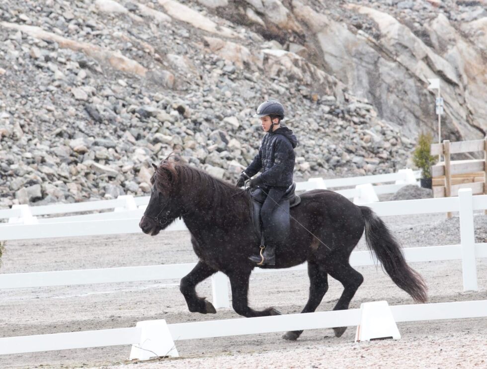 Ole i flott galopp i sin V5!
 Foto: Tor Olav Berg