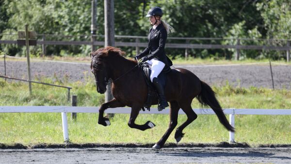Flotte visninger på Frivoll
