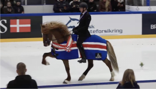 Norsk seier i tøltklassen