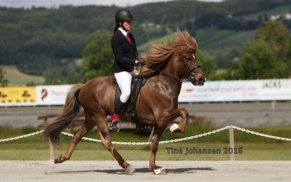 Denne ukens klasser i Corona Cup