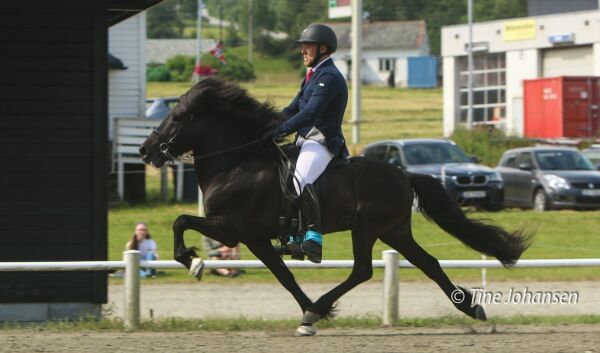 Garpur frá Kjarri blir junior-hest