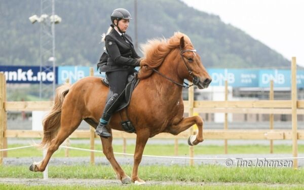 Norsk hest vinner Cybertölt
