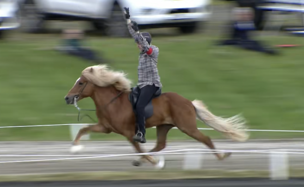 Konráð Valur Sveinsson og Kastor fra Garðshorn i Þelamörk satt ny verdensrekord lørdag.
 Foto: Skjermdump fra video, Facebook Eiðfaxi
