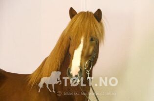 25 ting du kanskje ikke visste
