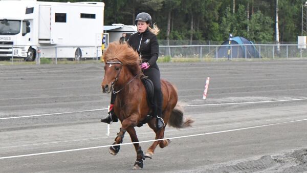 Leder 250 meter pass