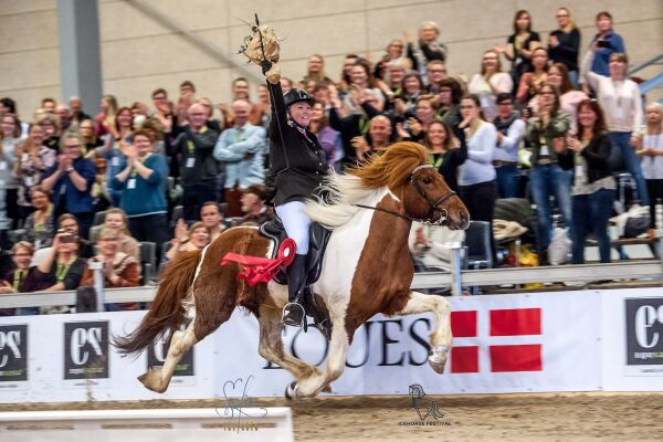 Gir landslagsledelsene elite-kort