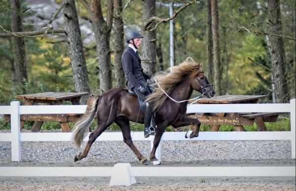 Åpner for ryttere uten kvalifikasjon