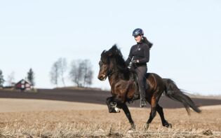 Debuterte med seier